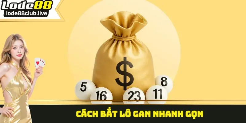 Cách bắt lô gan nhanh gọn