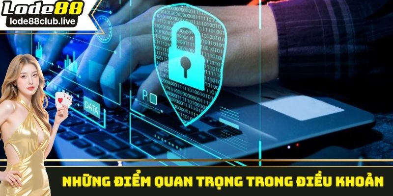 Những nội dung quan trọng có trong điều khoản dịch vụ