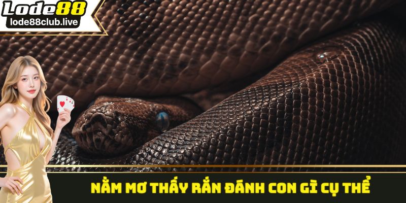 Nằm mơ thấy rắn đánh con gì cụ thể