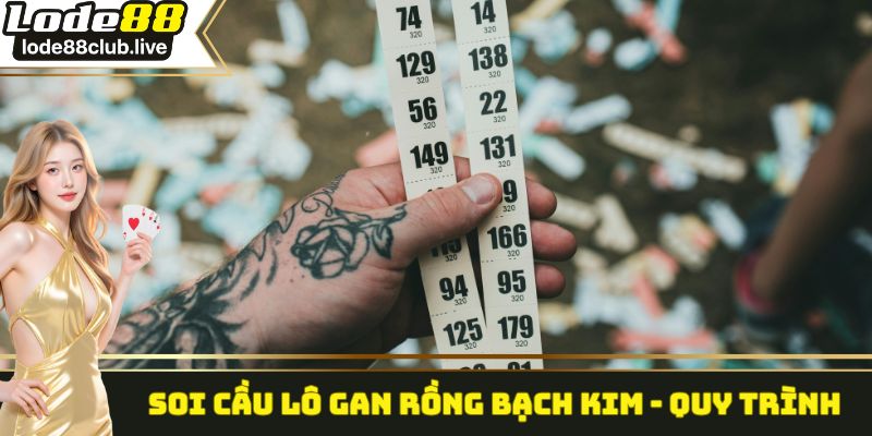 Soi cầu lô gan rồng bạch kim - Quy trình