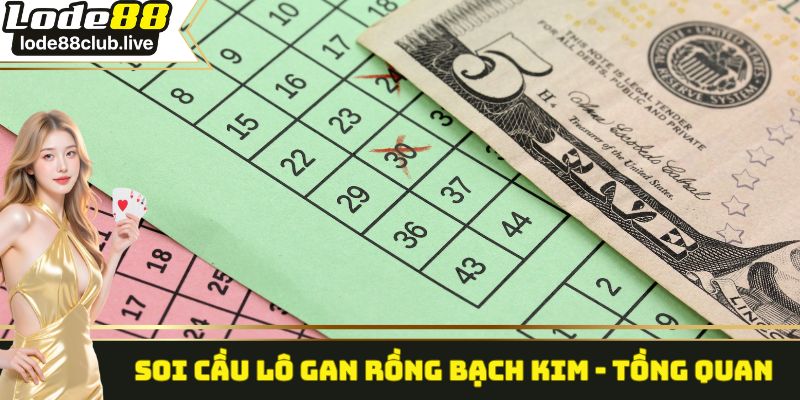 Soi cầu lô gan rồng bạch kim - Tồng quan