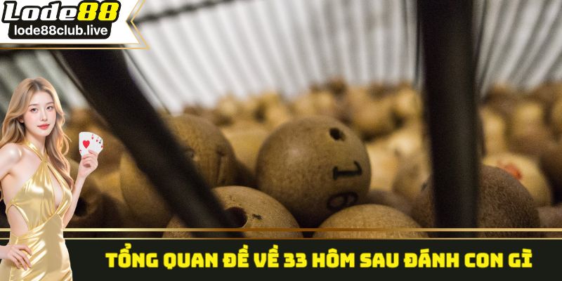 Tổng quan đề về 33 hôm sau đánh con gì